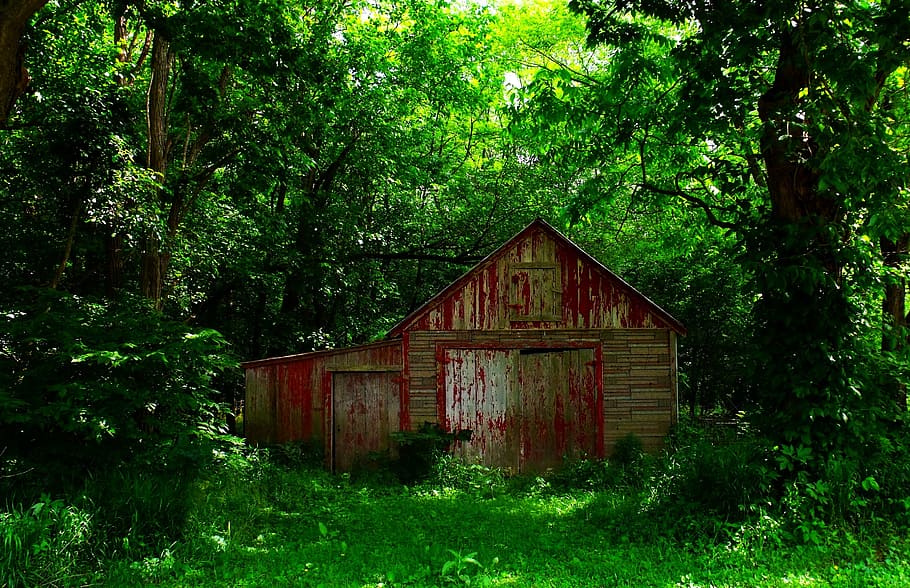 red and brown shed under green leaf tress during daytime, barn