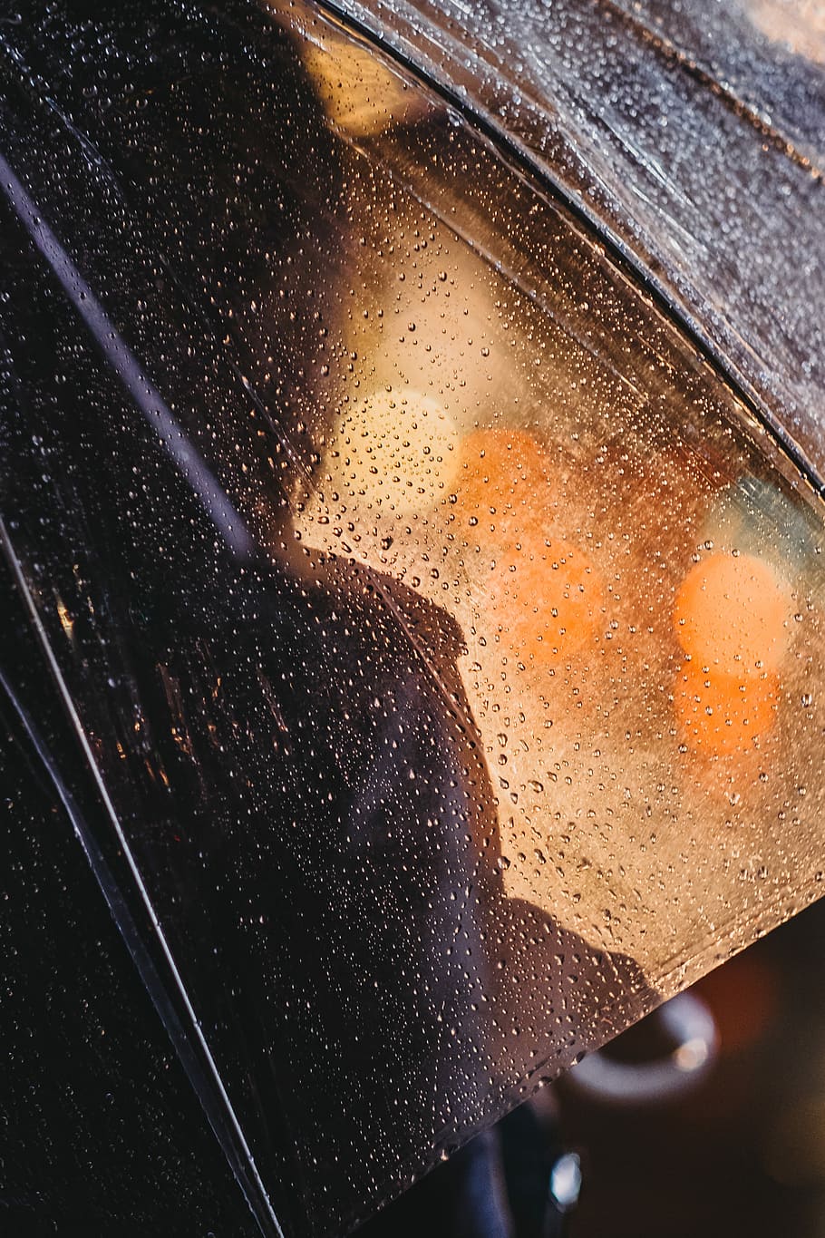 macro photography of droplets of water on clear plastic umbrella, water droplets on clear umbrella HD wallpaper