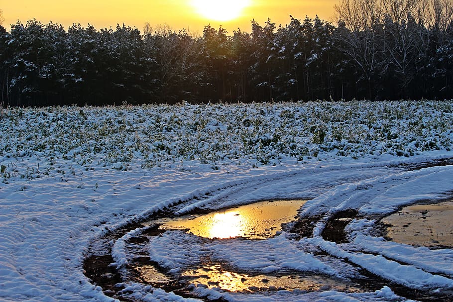 Snow, Winter, Sunset, Evening Light, wintry, snowy, frozen HD wallpaper