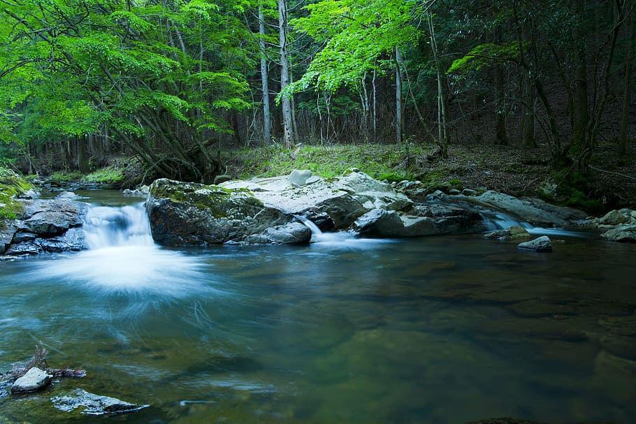 river, mountain, landscape, fall, forest, clear stream, japan HD wallpaper