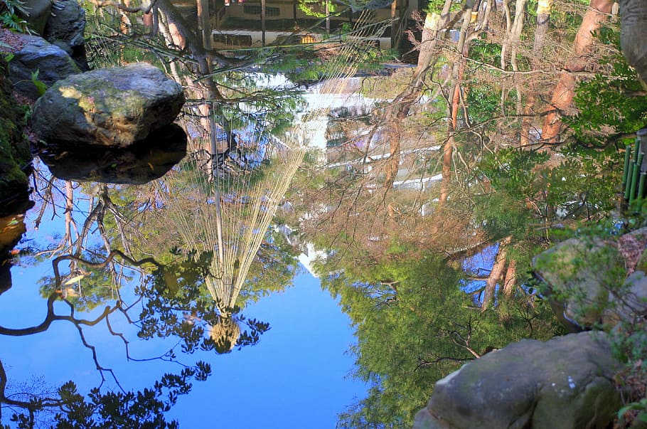 water, light, forest, japan, green, natural, landscape, river HD wallpaper