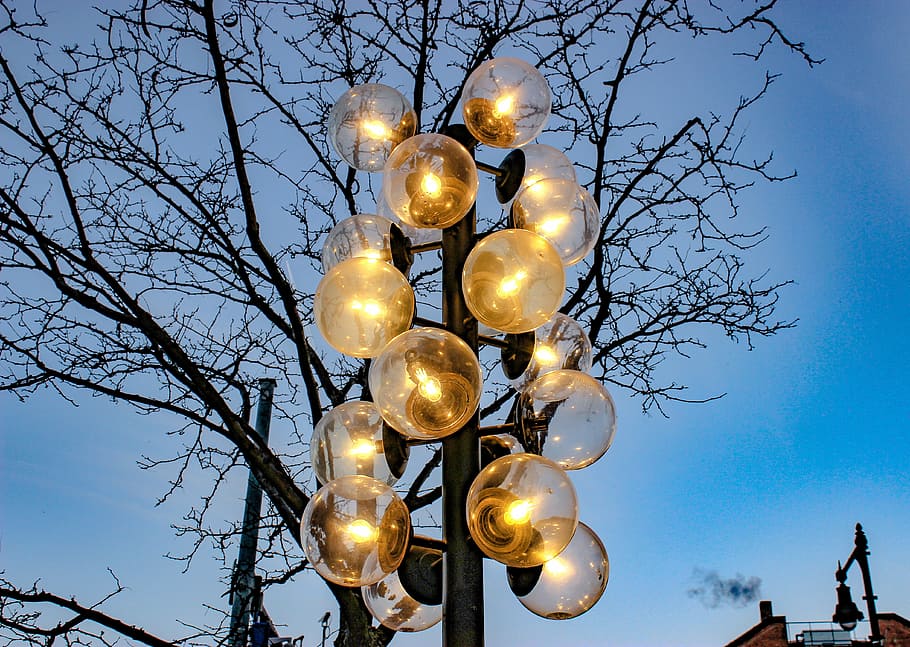tree, branch, winter, sky, season, street lights, city lights HD wallpaper