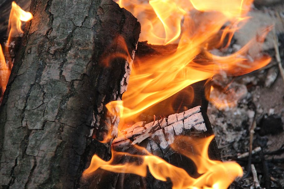 Fire, Campfire, Flame, Burn, Blaze, romantic, fire - natural phenomenon HD wallpaper