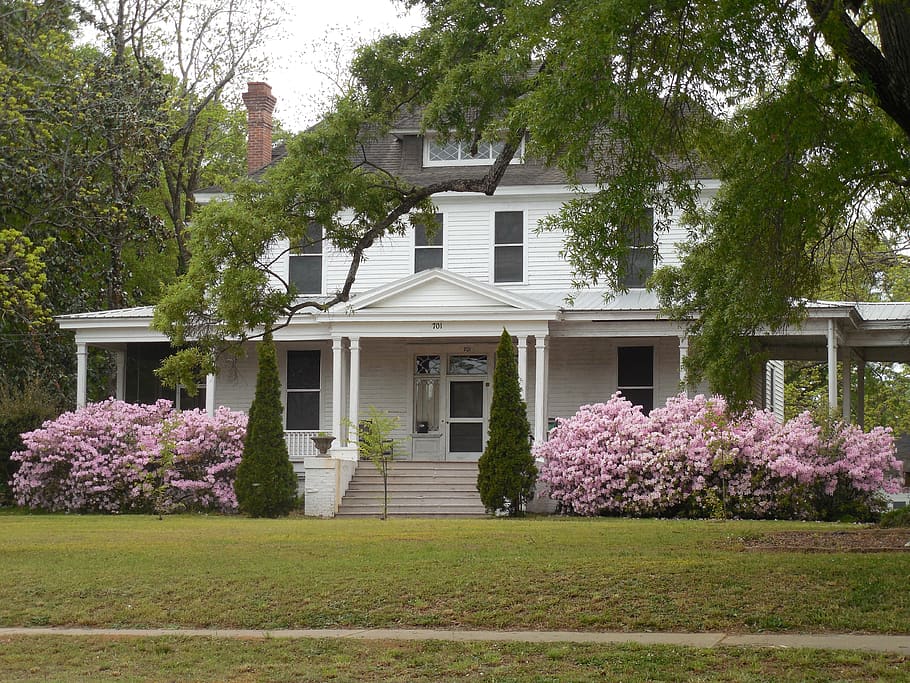 house, spring, springtime, azalea, blooming, architecture, brick HD wallpaper