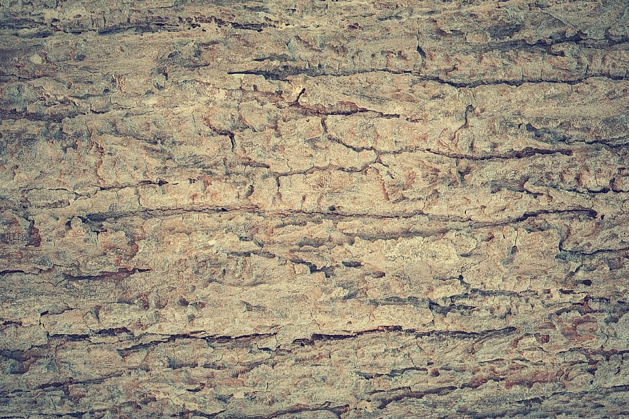 beige wood wallpaper, abstract, antique, backdrop, background HD wallpaper