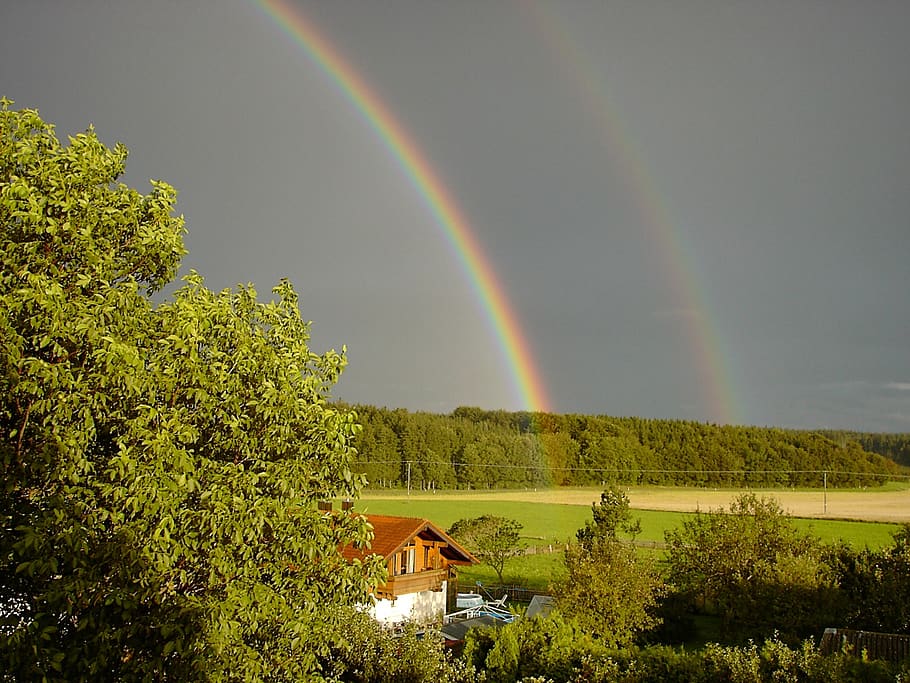 rainbow, landscape, tree, nature, sky, daylight, agriculture HD wallpaper