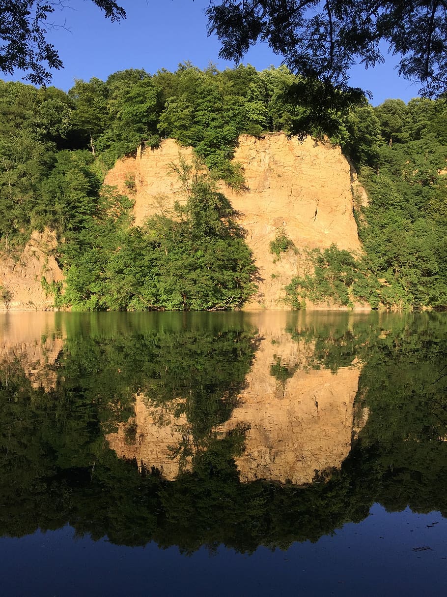 dornheckensee, bonn, quarry, tree, water, plant, reflection HD wallpaper