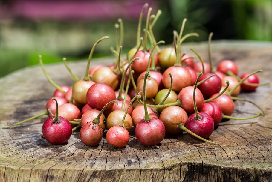 cherry, fruit, fresh, food, berry, sweet, organic, healthy HD wallpaper