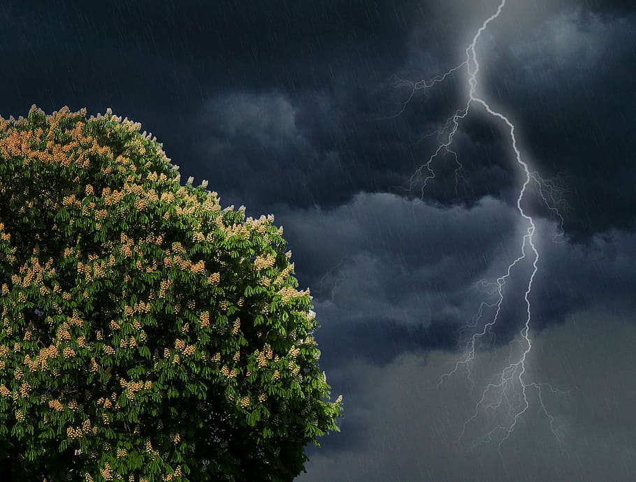 lightning on sky, flash, thunderstorm, forward, summer thunderstorm HD wallpaper