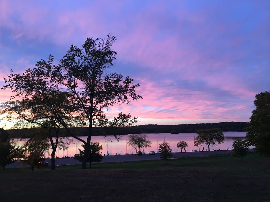 sunset, wate, violet, reflection, sky, tree, plant, beauty in nature HD wallpaper