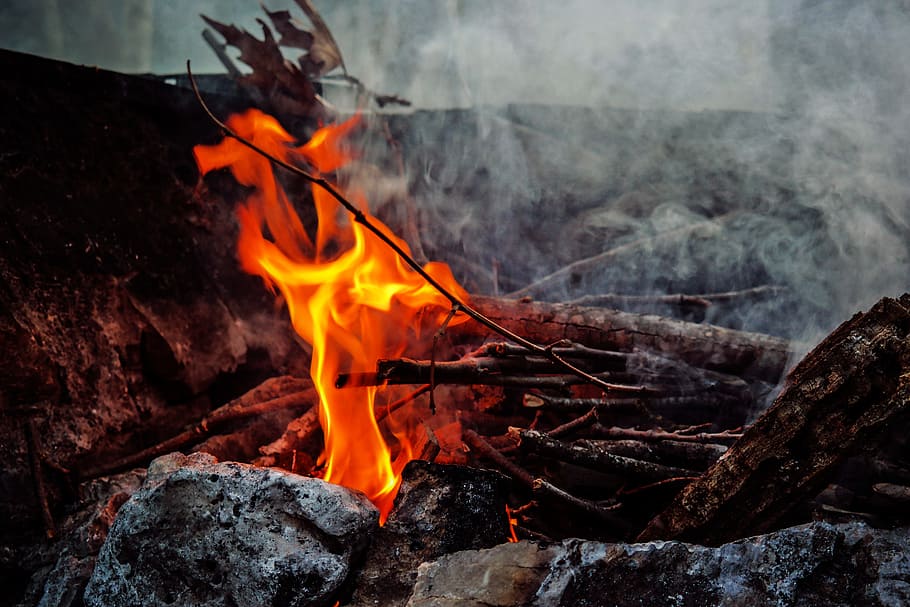wood, rocks, firewood, fire, ash, blaze, bonfire, burn, burnt, HD wallpaper