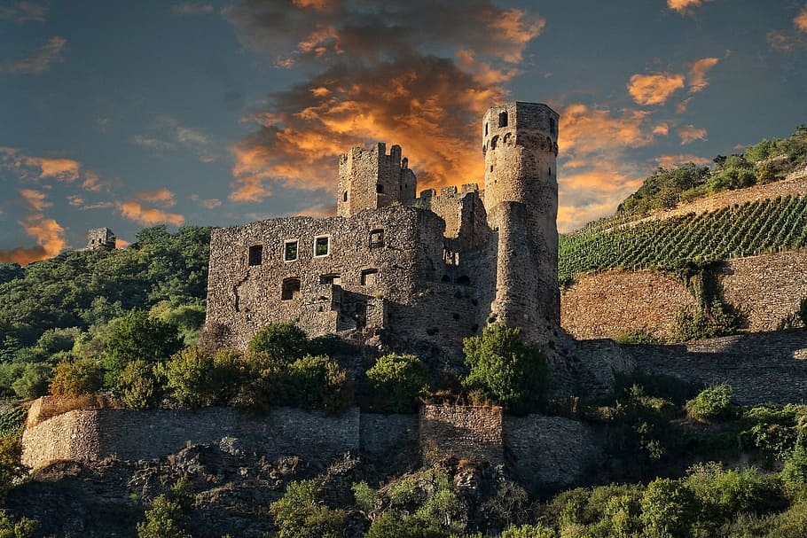 gray stone castle near green leaf tre, germany, rhine, shipping HD wallpaper