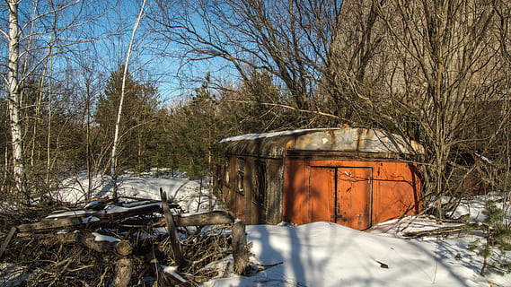 train, wagon, snow, trees, exclusion zone, winter, nature, landscape HD wallpaper
