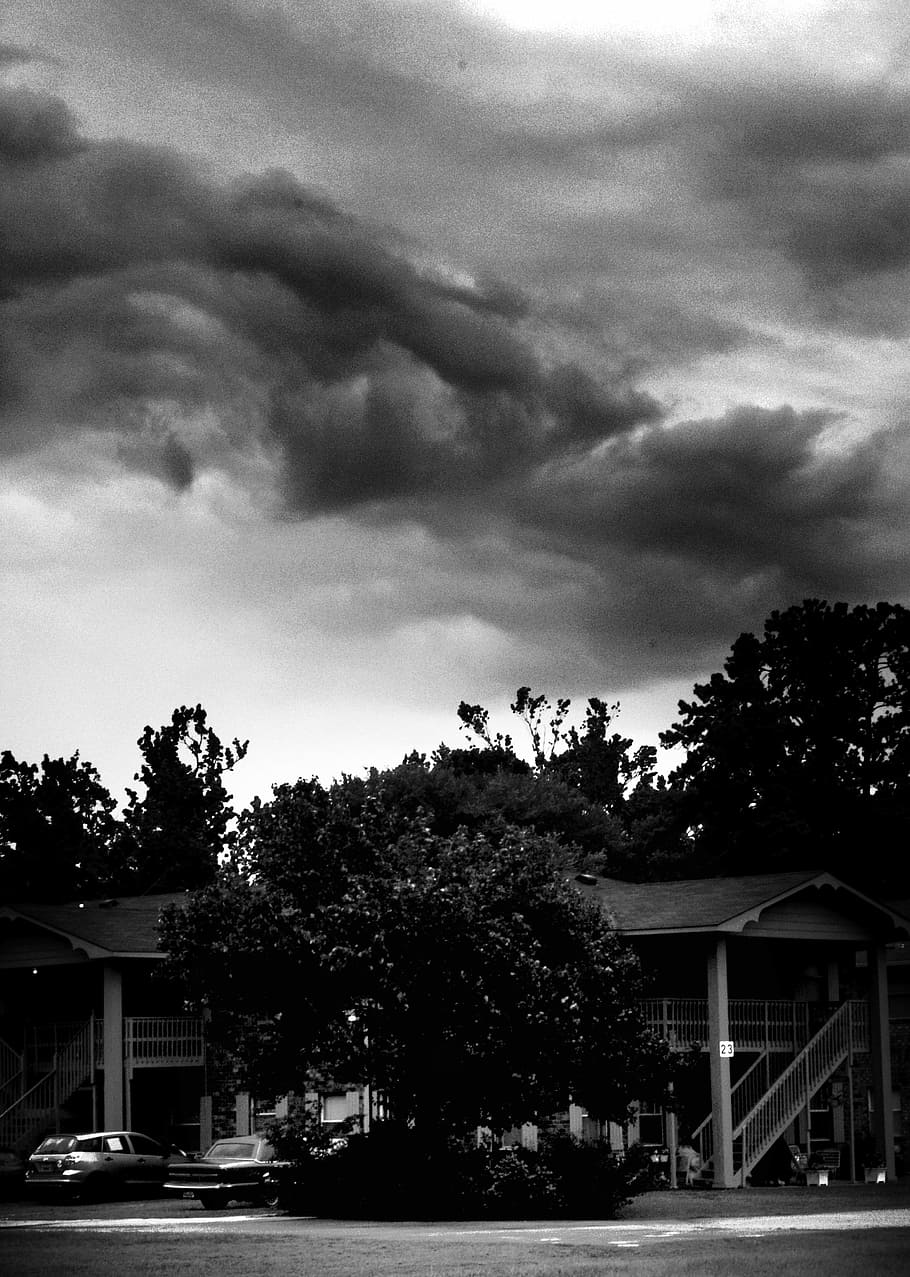 grayscale photography of tree in front of the house, Hurricane HD wallpaper