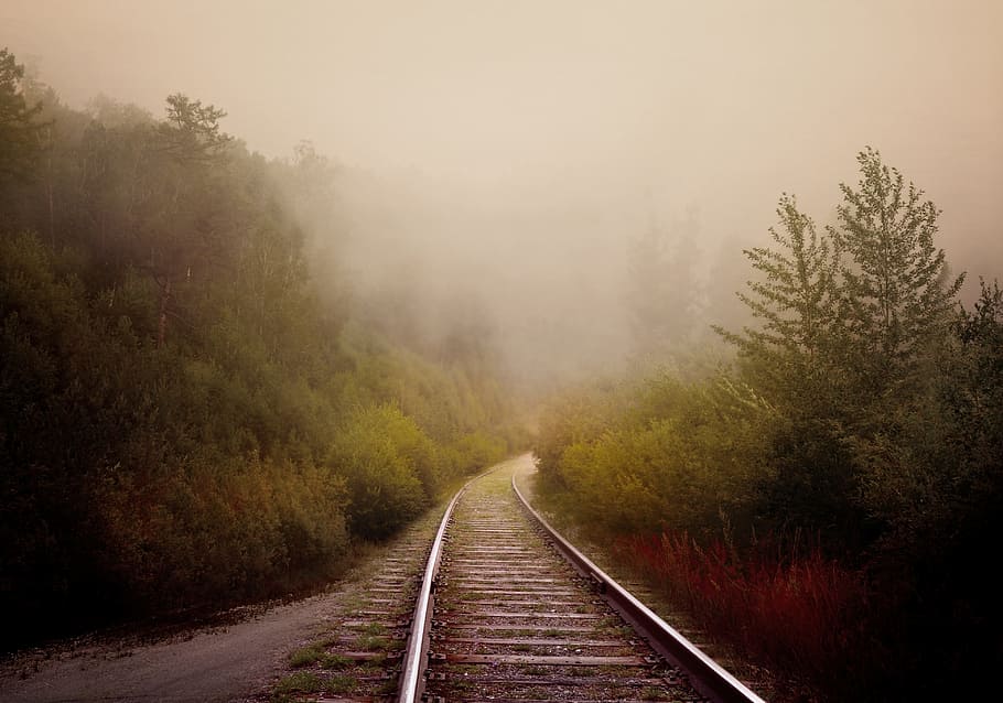 gray rail road in center of green trees during fog, forest HD wallpaper