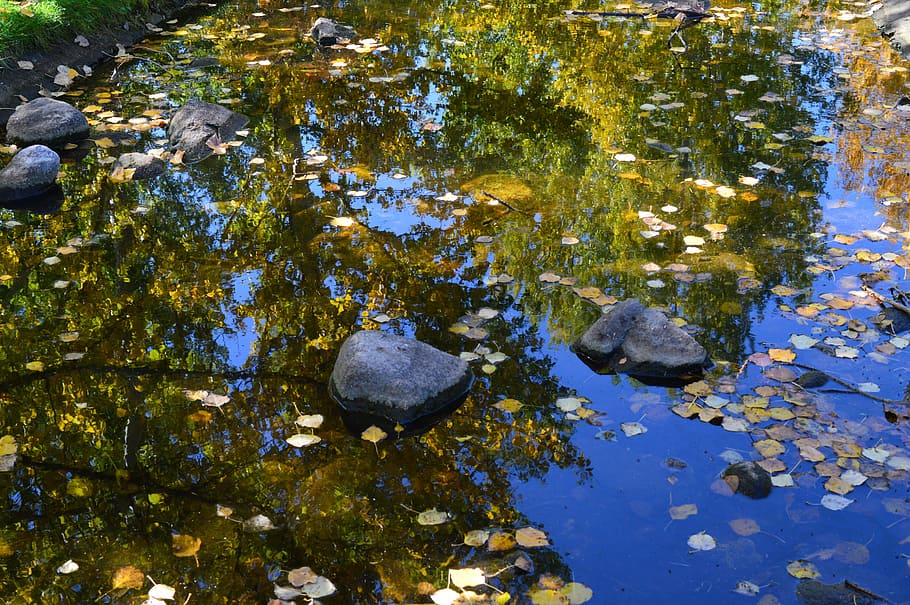 stream, reflection, trees, sky, blue, water, wet, nature, landscape HD wallpaper