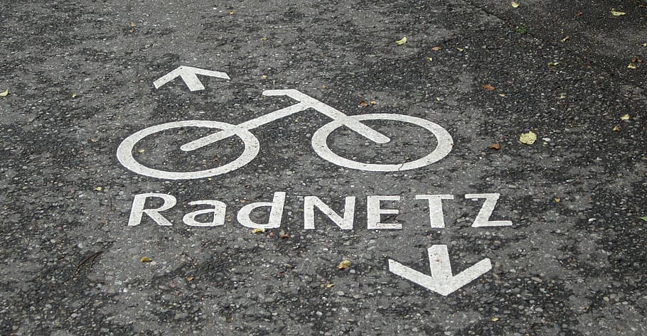 orb web, road, tar, cycle path, asphalt, away, wet, ground HD wallpaper