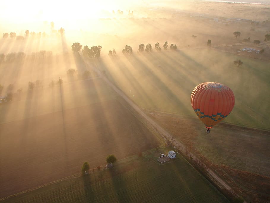 hot air balloon on air, Field, Dawn, Flight, mid-air, ballooning festival HD wallpaper