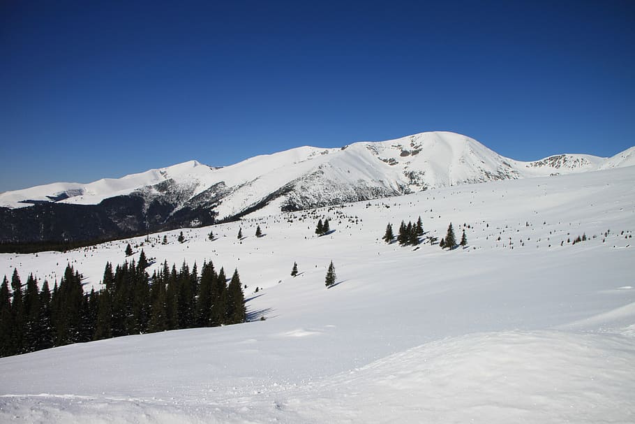 gorj, mountains, parang, ranca, romania, snow, white, winter, HD wallpaper
