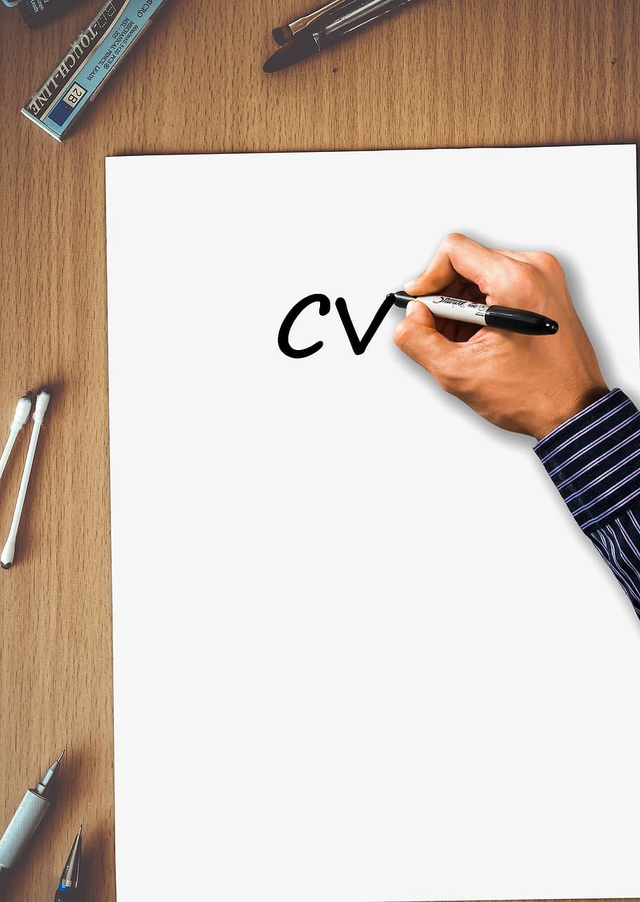 person holding black and white pen, Resume, Cv, Curriculum, Vitae