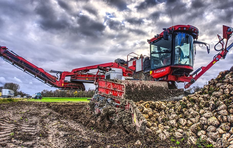 sugar beet, harvest, glean, pick, machine, agriculture, arable HD wallpaper