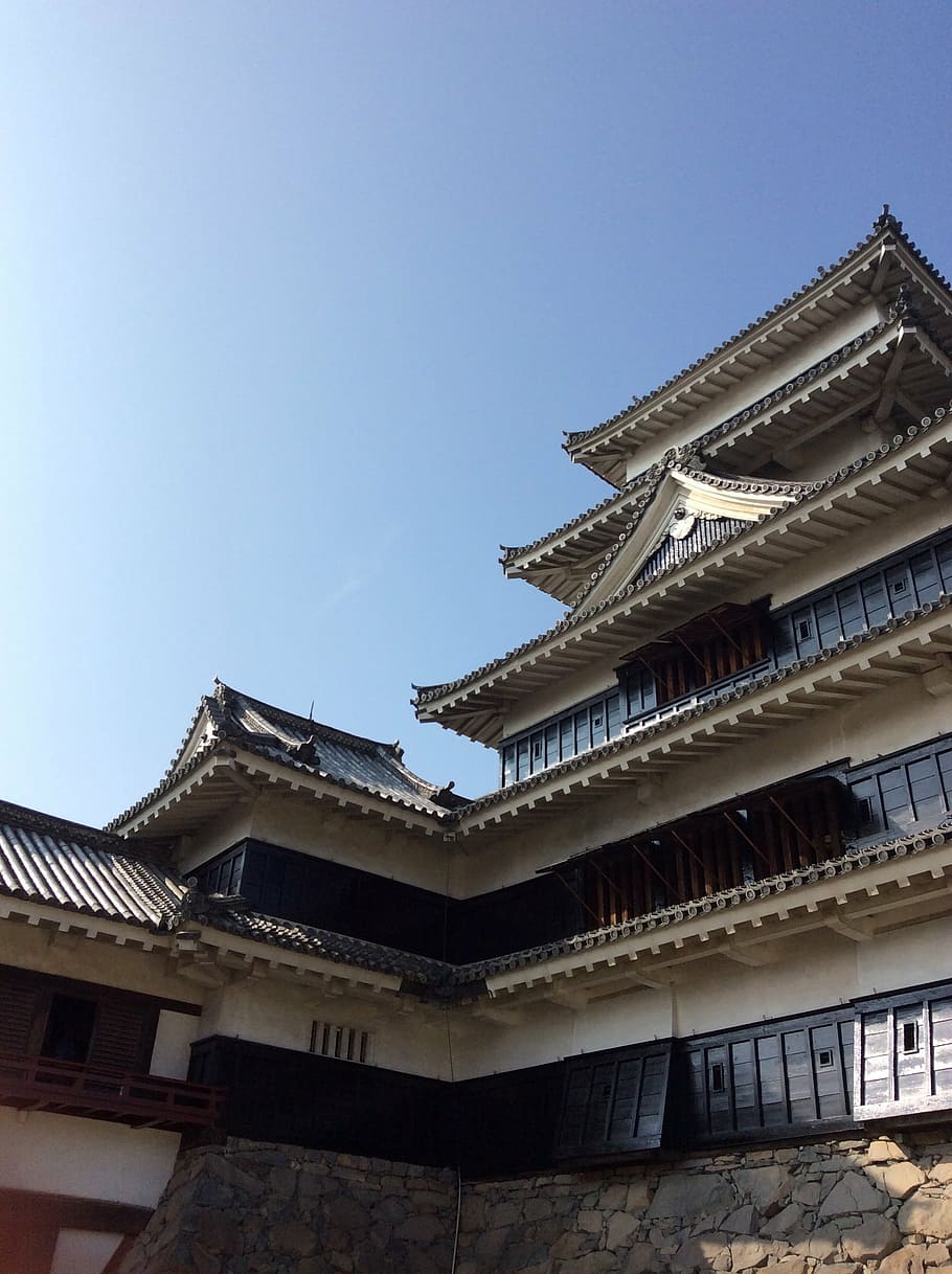 castle, matsumoto castle, nagano, building, castle of japan, HD wallpaper