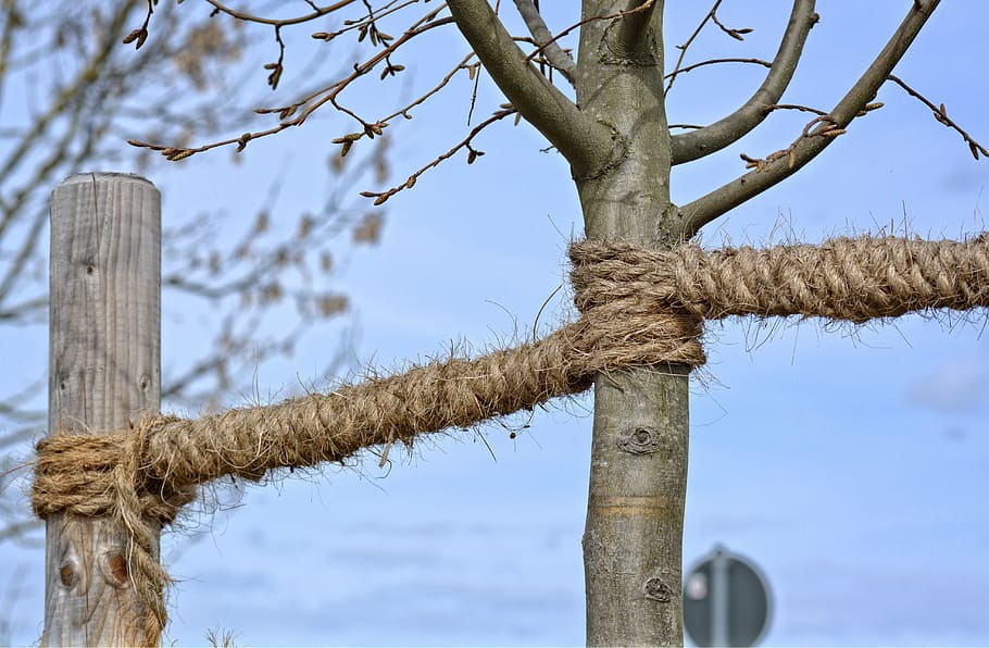 fixing, dew, rope, twisted ropes, strand, knitting, knot, connected HD wallpaper