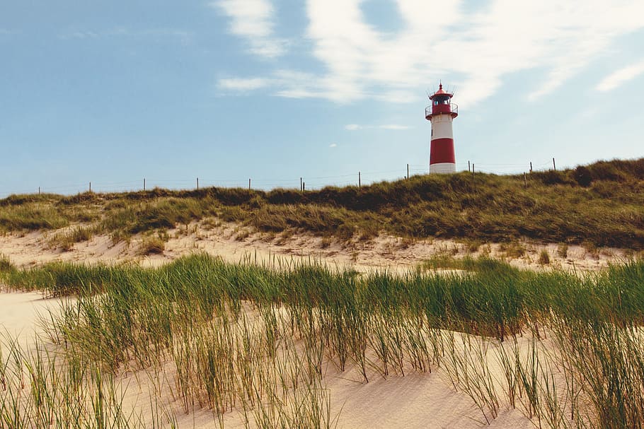 light, landscape, nature, sky, blue sky, clouds, grass, lighthouse HD wallpaper