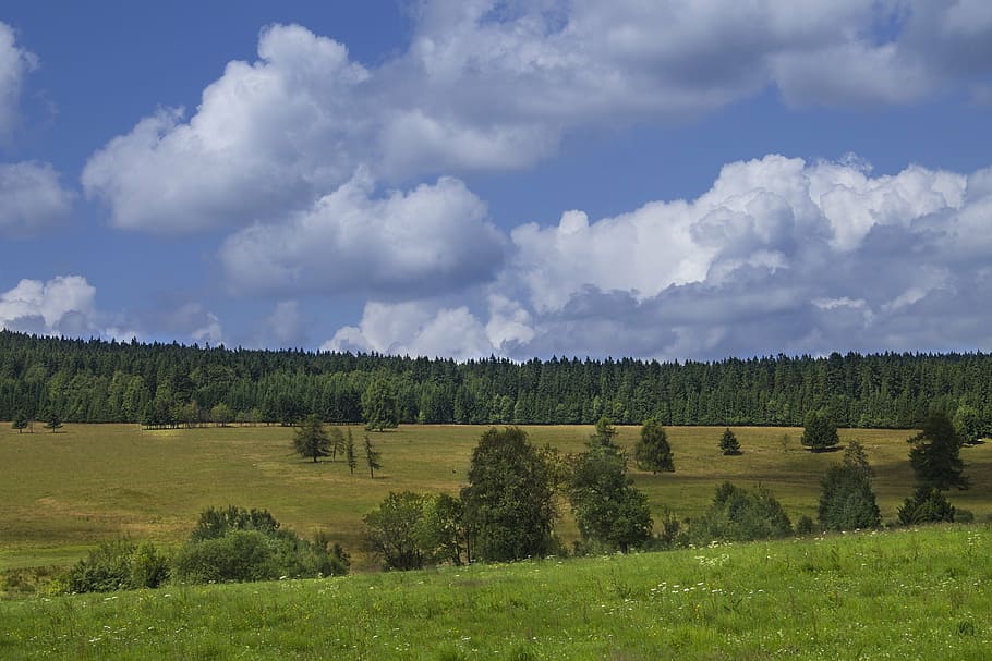 clouds, sky, landscape, blue, nature, tree, meadow, summer HD wallpaper