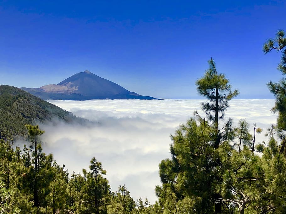teide, landscape, peak, clouds, pine, volcano, nature, sky HD wallpaper