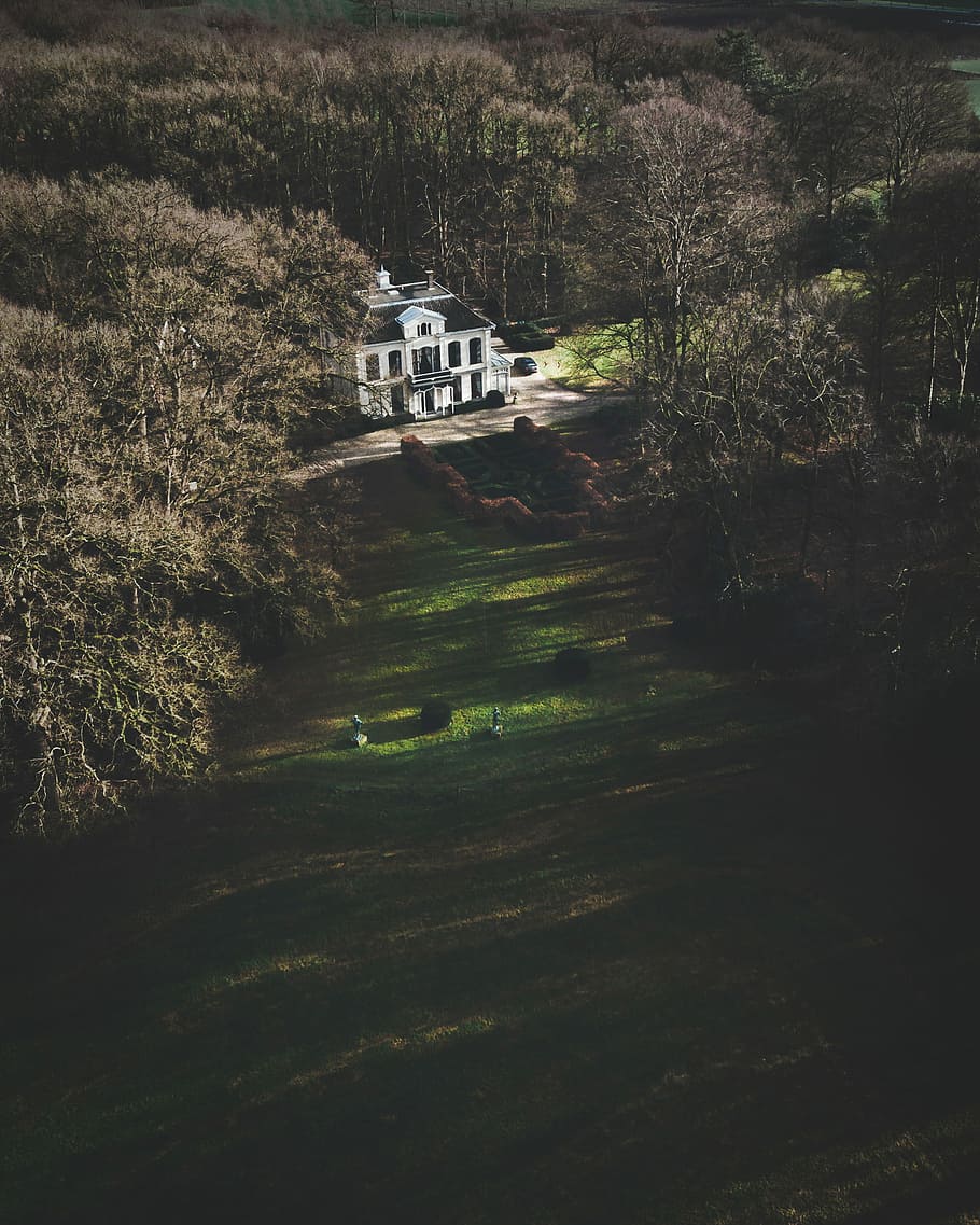 white and black concrete building surrounded by trees at daytime, people in front of white concrete house surrounded by trees during daytime HD wallpaper