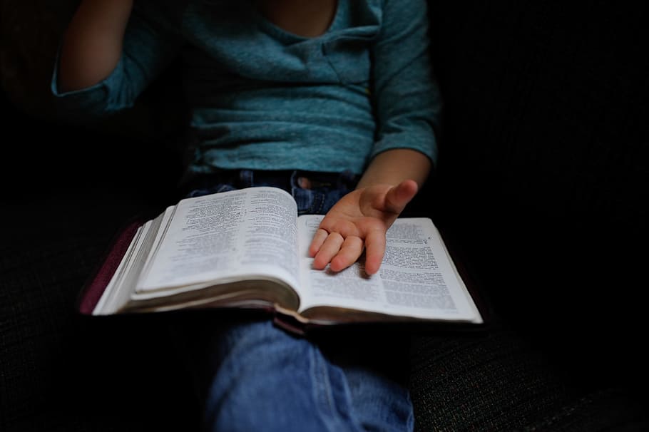 person wearing blue long-sleeved shirt reading book, person reading book on lap HD wallpaper