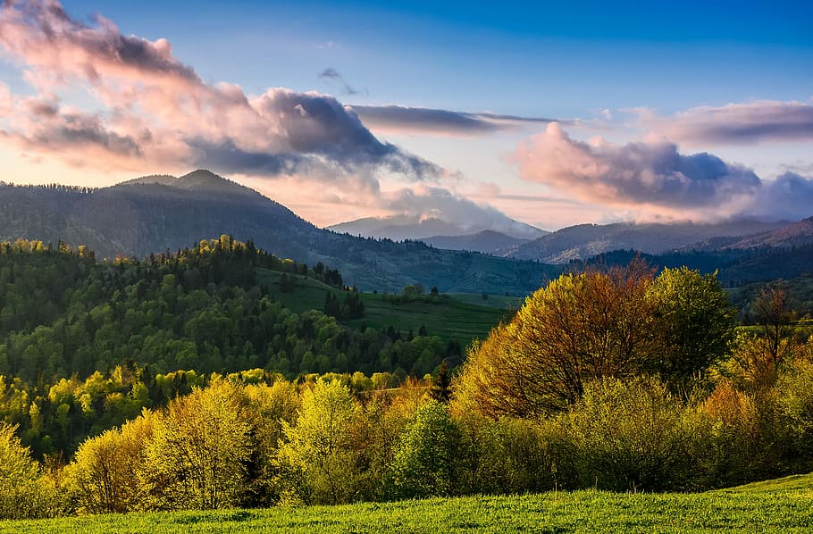 mountain rural area in springtime at cloudy sunset, trees in forest HD wallpaper