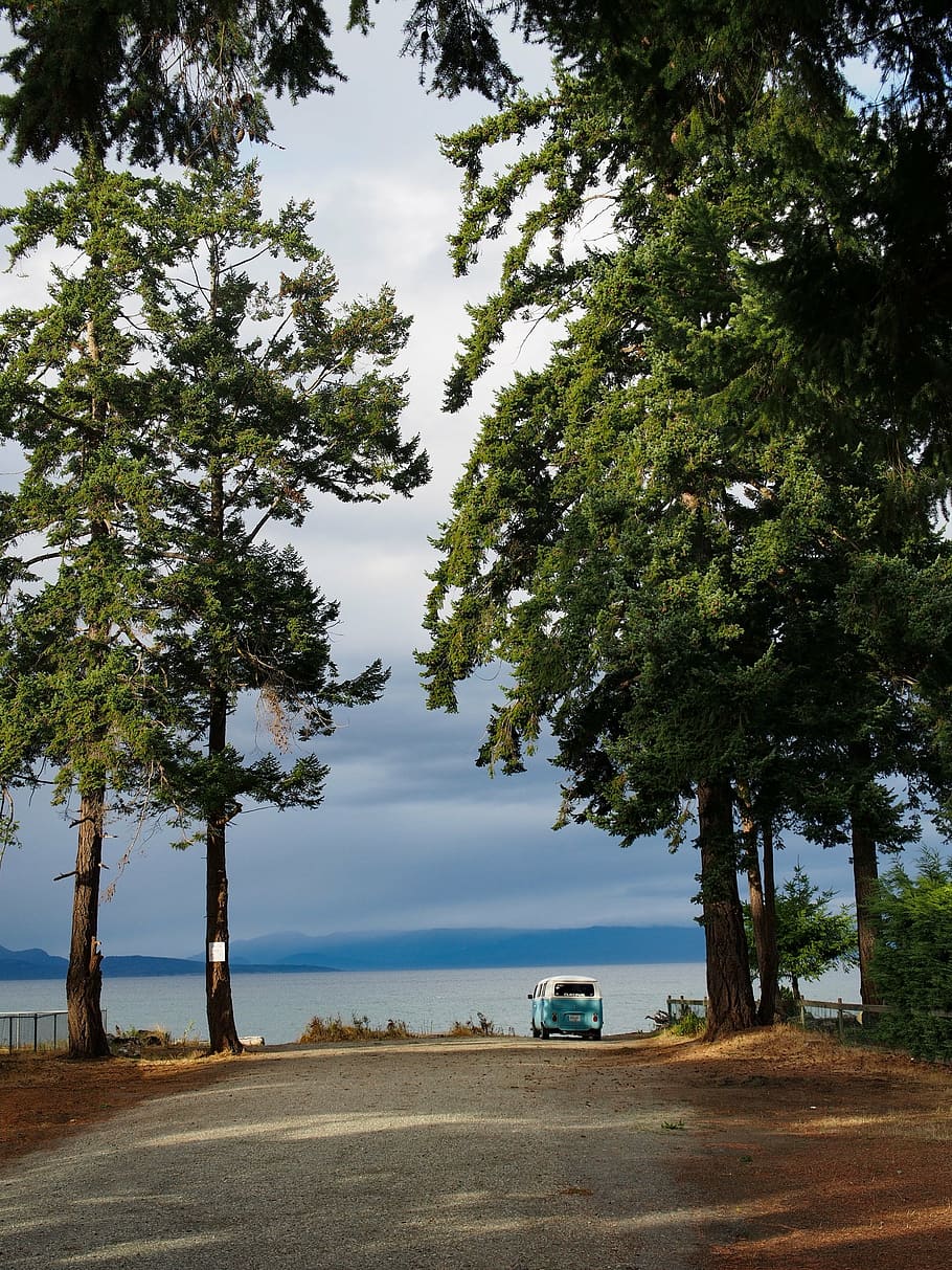 blue and white vehicle on dirt road between trees at daytime HD wallpaper