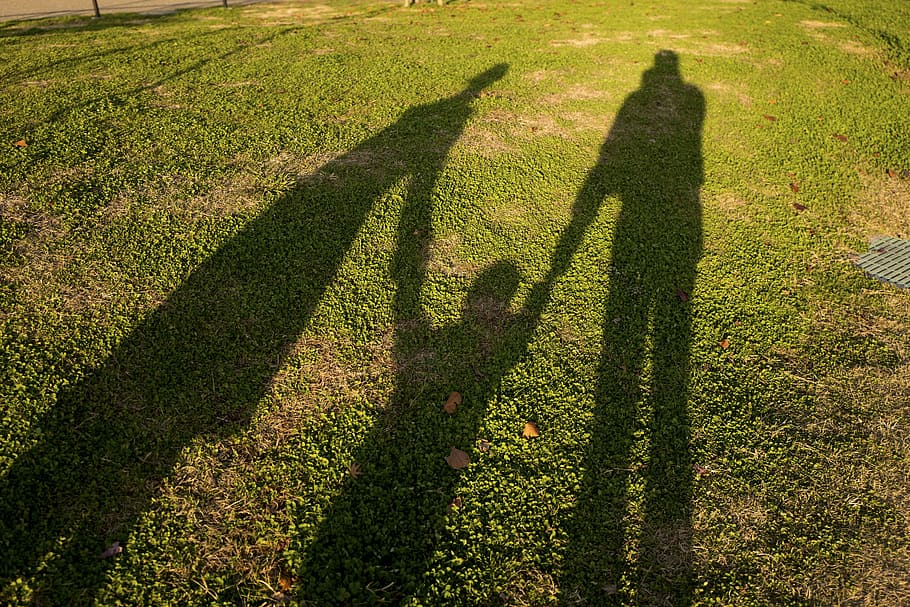 shadow of three people, nature, landscape, summer, green, grass HD wallpaper