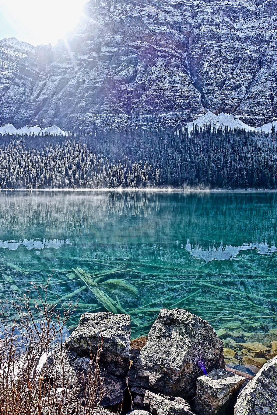 Lake, Wilderness, Environment, Landscape, nature, water, scenic HD wallpaper