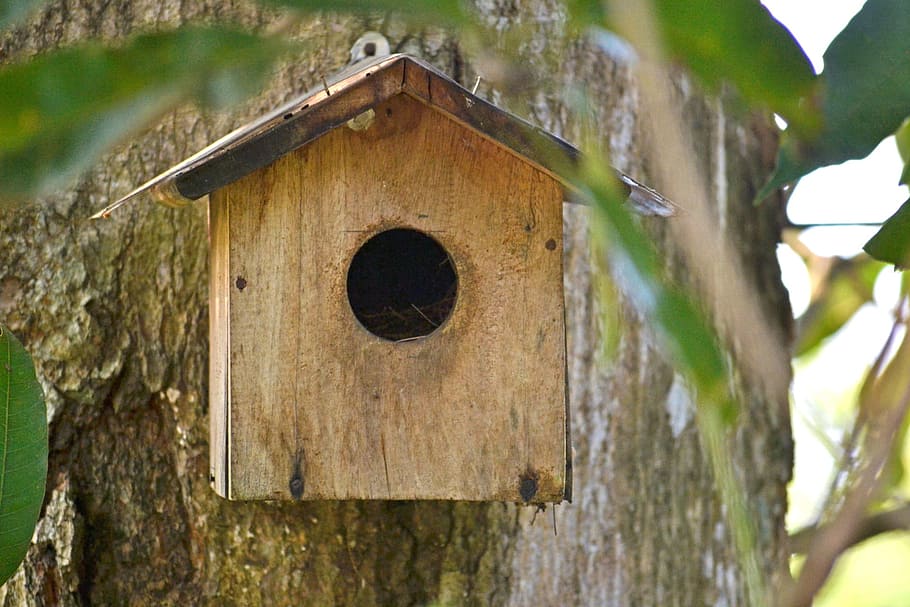 Bird Nest, Breeding, Box, Shelter, breeding box, bird shelter, HD wallpaper