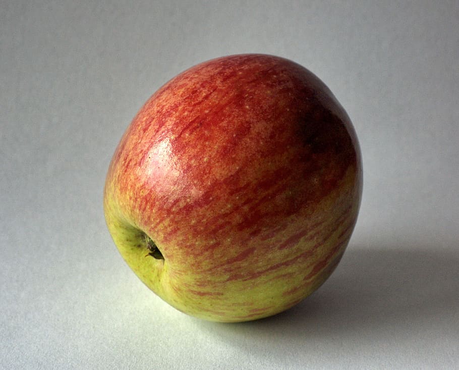 apple, fruit, fall color, juicy, tasty, ripe, autumn, healthy HD wallpaper