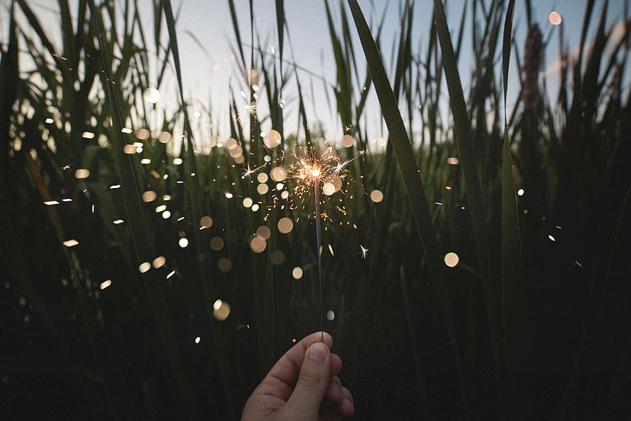 person holding firecracker near grasses, bokeh light photography of person holding fire stick HD wallpaper