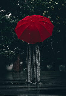 woman holding red umbrella standing near tree at daytime, person under red umbrella near trees HD wallpaper