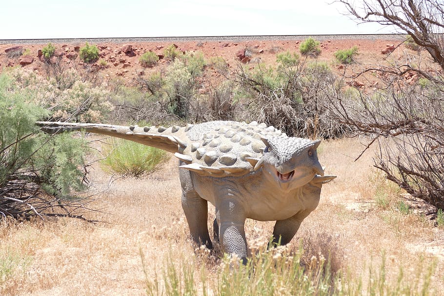 Ankylosaurus 1080P, 2K, 4K, 5K HD wallpapers free download | Wallpaper ...