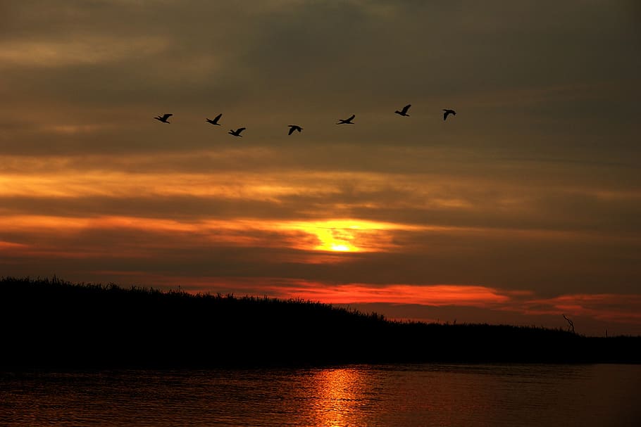sunset, aterdecer, river, amazon, crossing, holiday, nature HD wallpaper