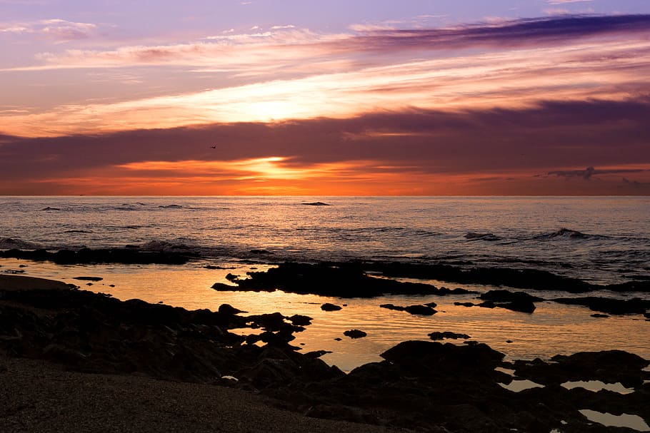 dawn, clouds, sky, sunset, horizon, sea, awakening, output sun HD wallpaper