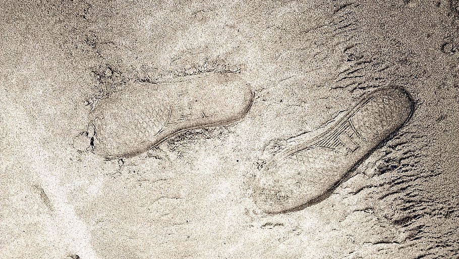 footprints, sand, beach, land, no people, nature, high angle view HD wallpaper