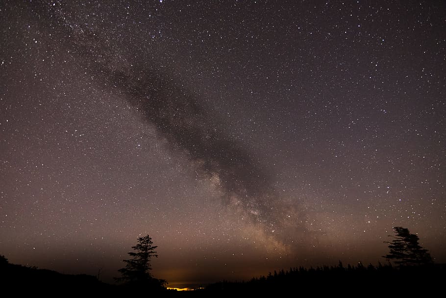 milky way over trees, starry night, night view, sky, stars, star - Space HD wallpaper