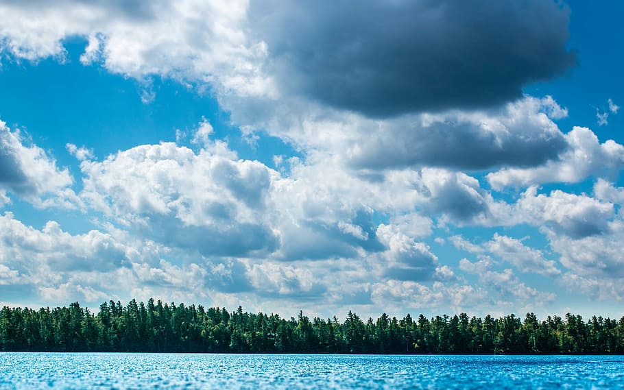 green trees across blue body of water under cloudy sky, green leafed trees near blue sea under white cloudy sky during daytime HD wallpaper