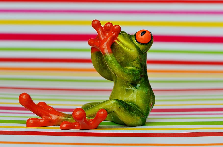 frog, figure, do not speak, scared, fear, funny, cute, sit, HD wallpaper