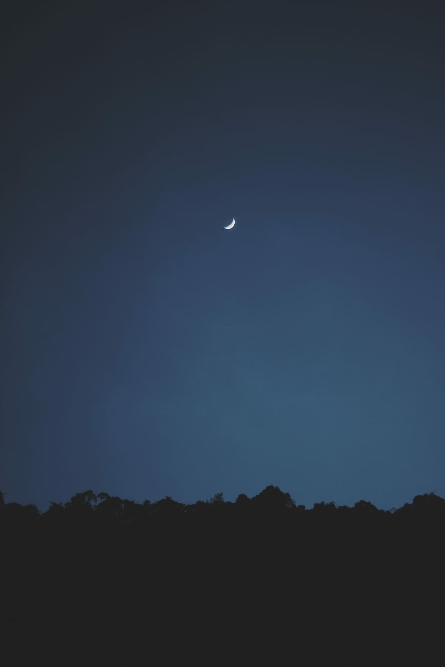 September Medicine Cat Meeting (2023) Silhouette-sky-moon-night