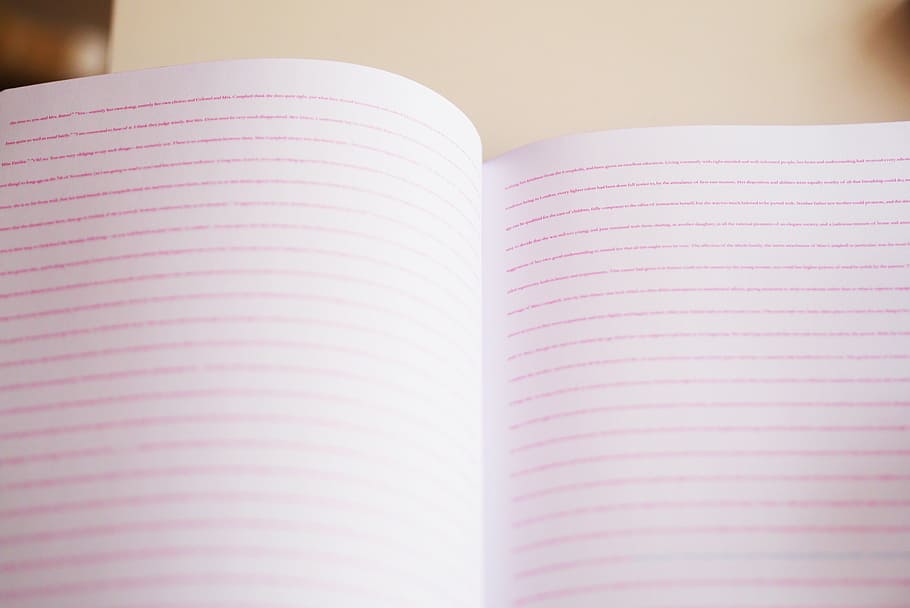 white and red ruled notebook, closeup, photo, paper, texture HD wallpaper
