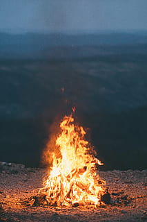 bond fire, firewoods, daytime, flame, burn, bonfire, campfire HD wallpaper
